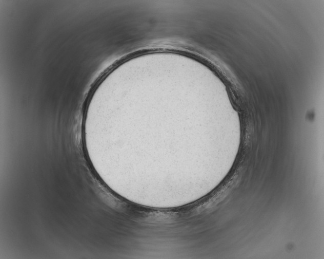 X0000116881224201001191737