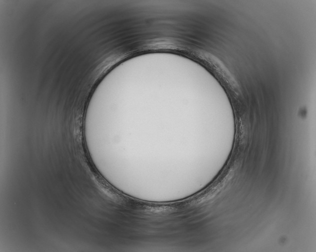 X0000116881225201001191737