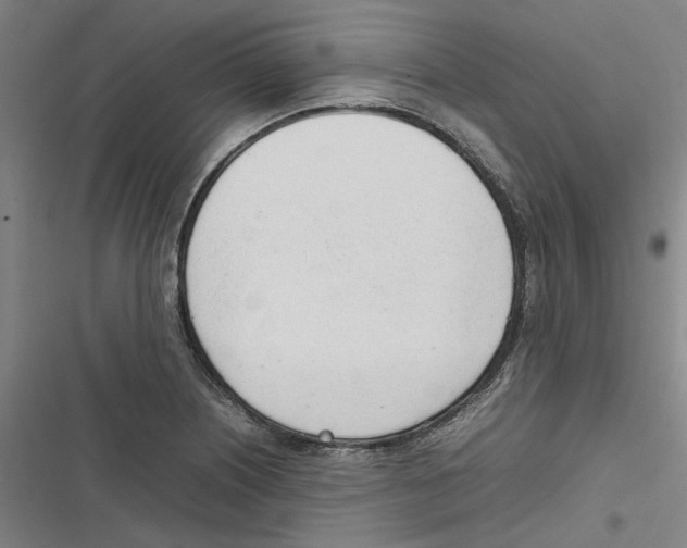 X0000116881226201001191737