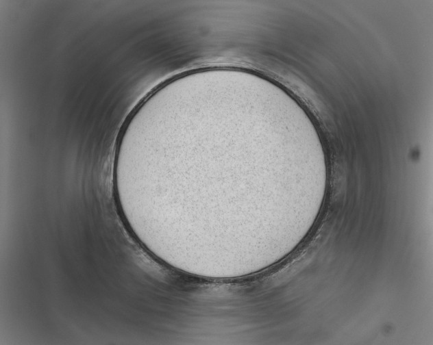 X0000116881228201001191737