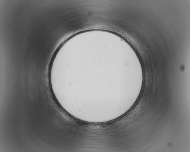 X0000116881230201001191737