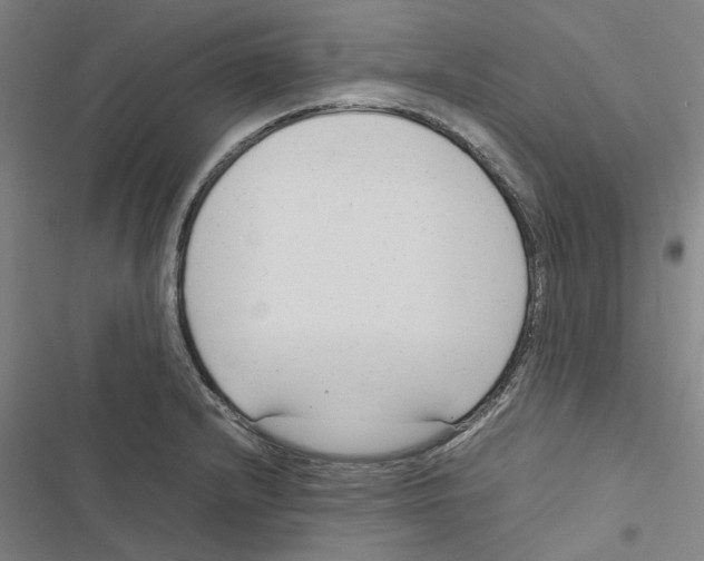 X0000116881232201001191737