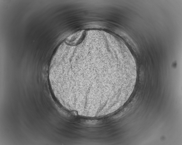 X0000116881233201001191737