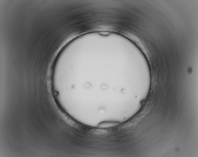 X0000116881235201001191737