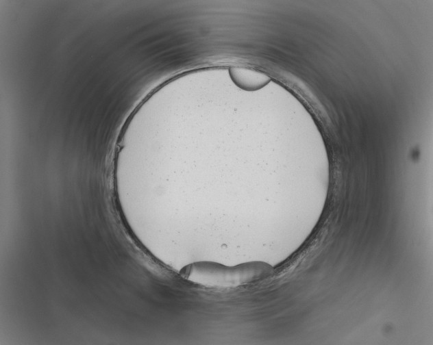 X0000116881236201001191737