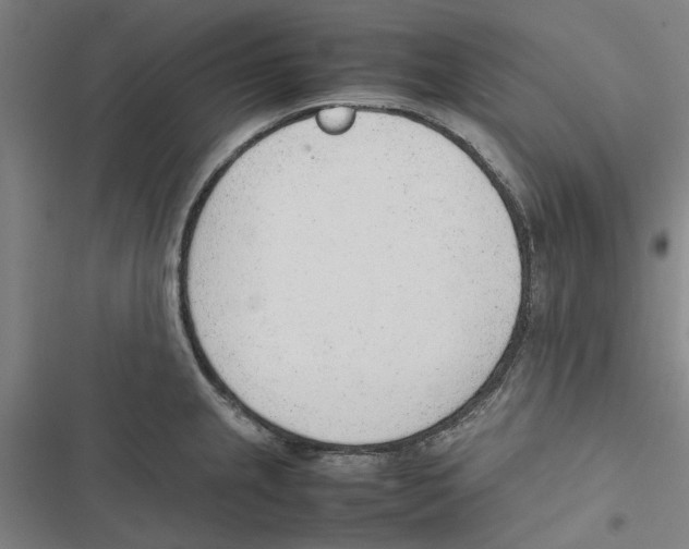 X0000116881237201001191737