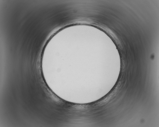 X0000116881240201001191737