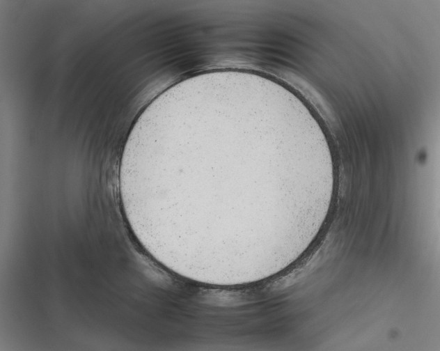 X0000116881241201001191737
