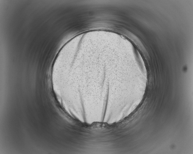 X0000116881242201001191737
