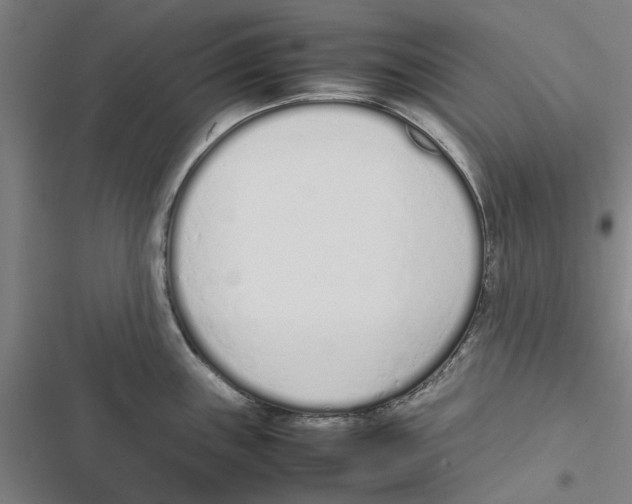 X0000116881243201001191737