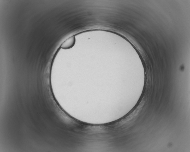 X0000116881246201001191737