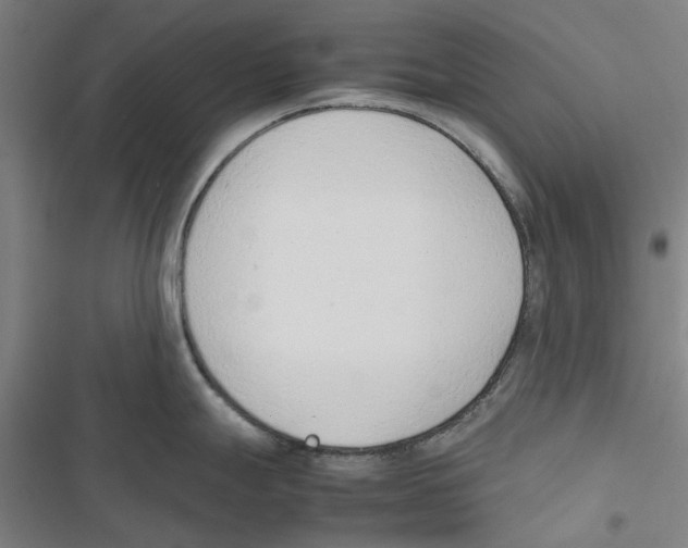 X0000116881247201001191737