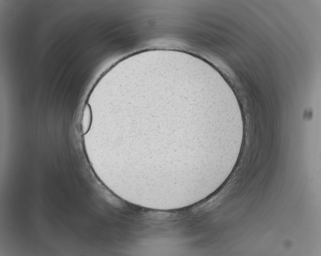 X0000116881248201001191737