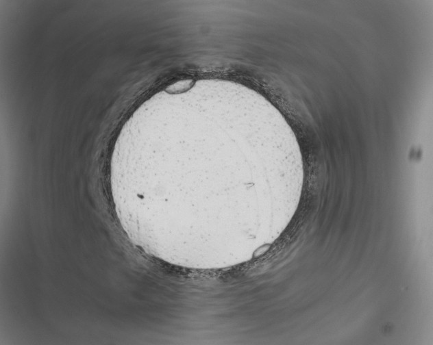 X0000116881249201001191737