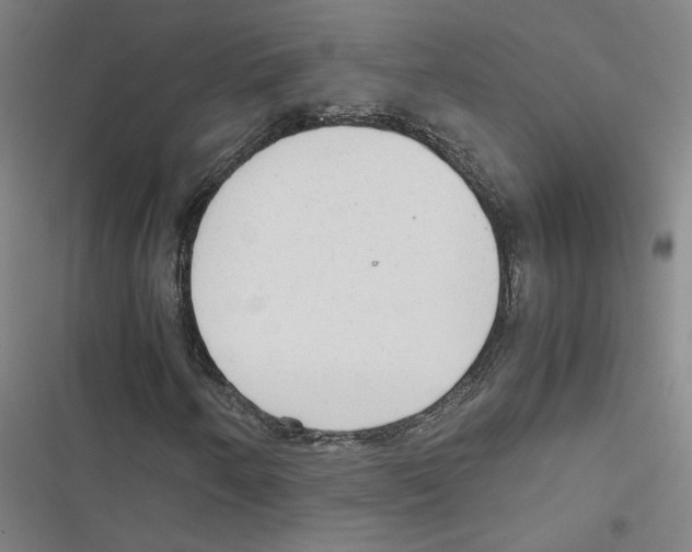 X0000116881250201001191736