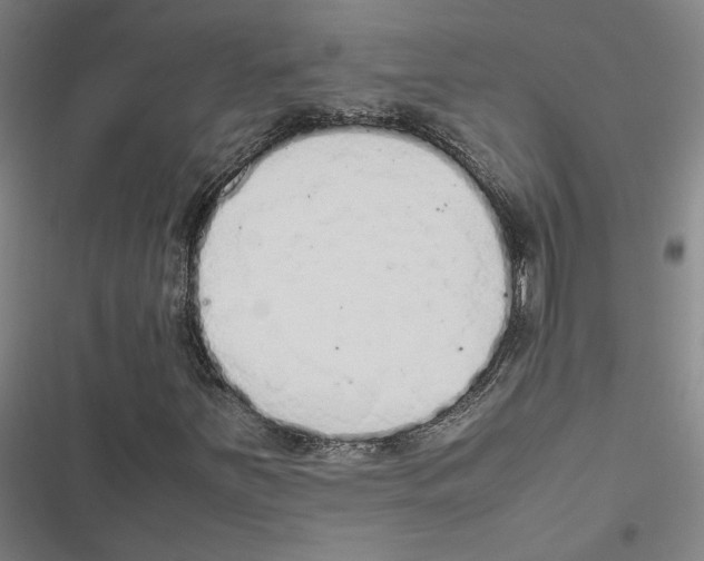 X0000116881251201001191736