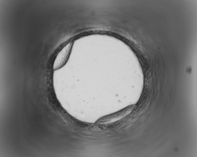 X0000116881255201001191736