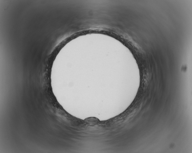 X0000116881256201001191736