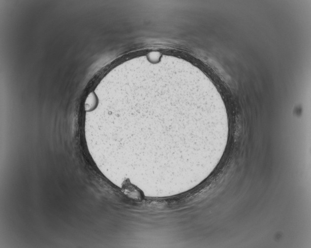 X0000116881261201001191736