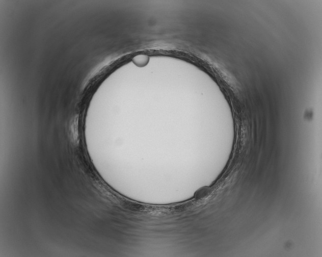 X0000116881262201001191736