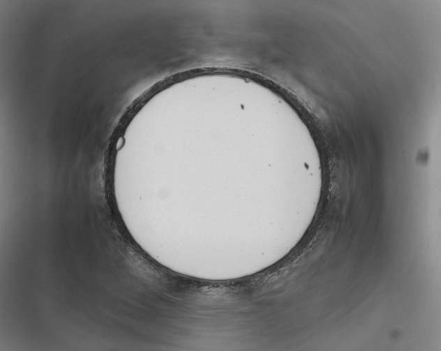 X0000116881264201001191736