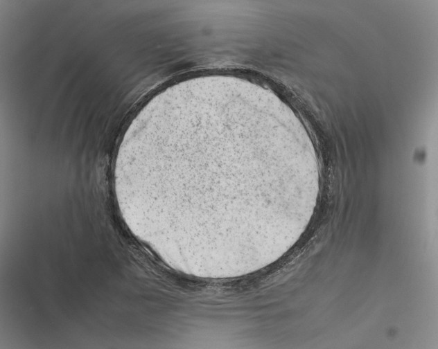 X0000116881265201001191736