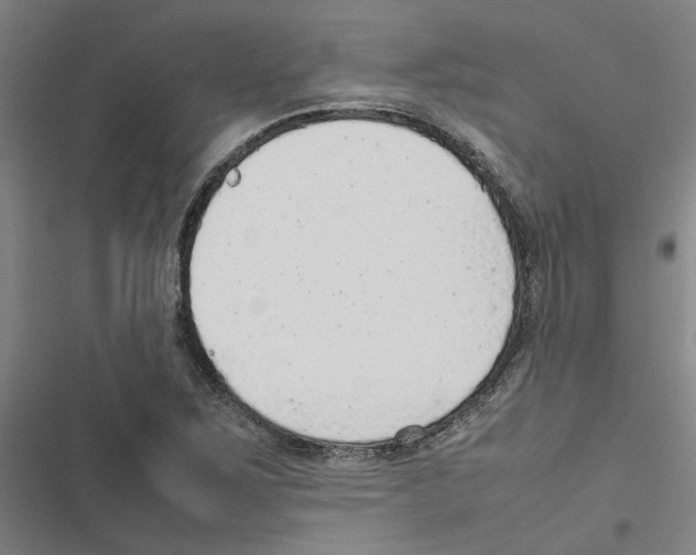 X0000116881267201001191736