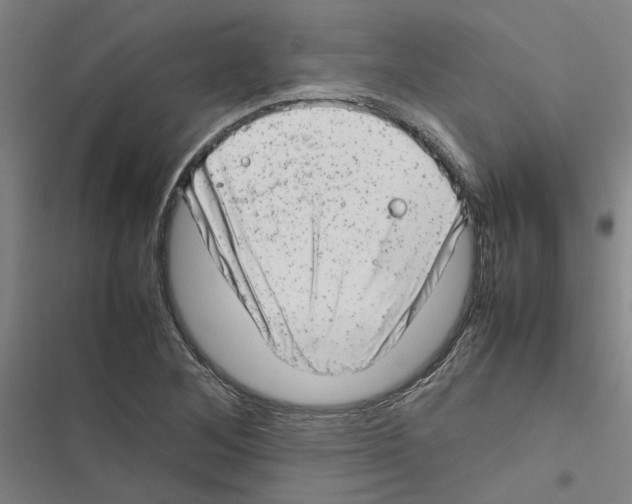 X0000116881268201001191736