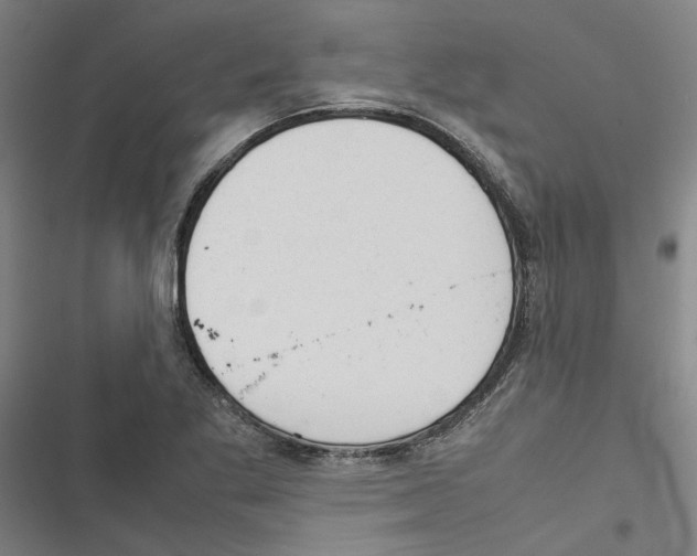 X0000116881269201001191736