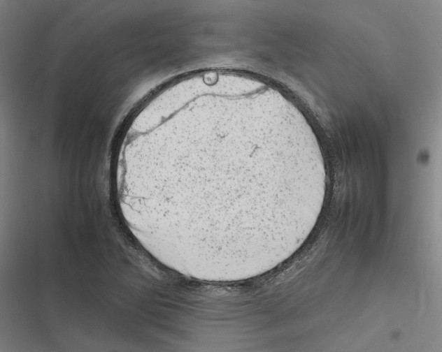 X0000116881270201001191736