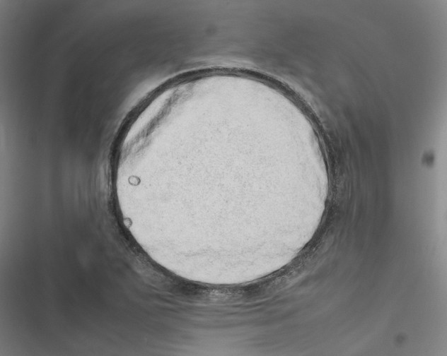 X0000116881271201001191736