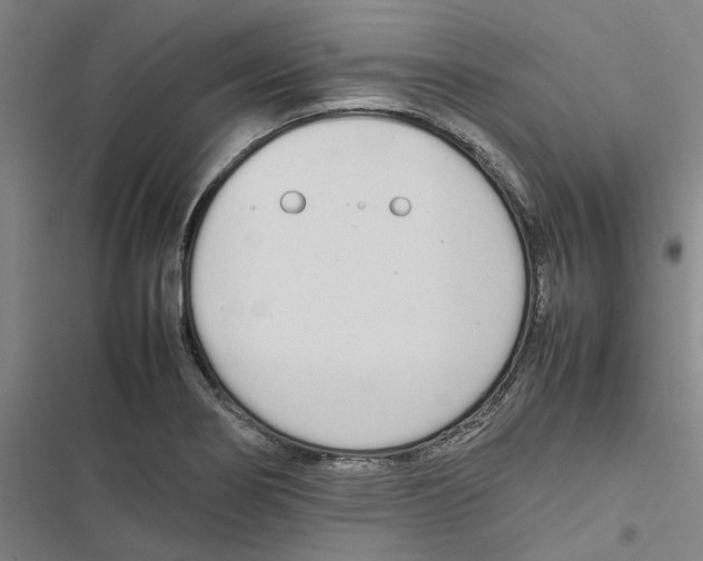 X0000116881274201001191736