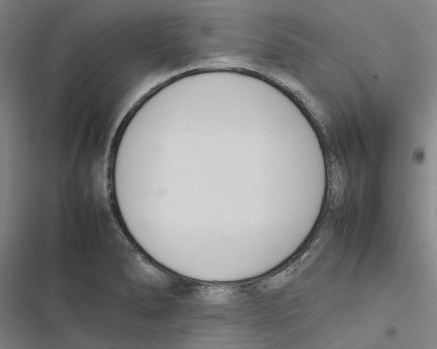 X0000116881278201001191736