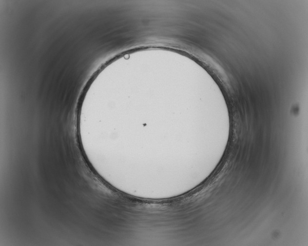 X0000116881280201001191736