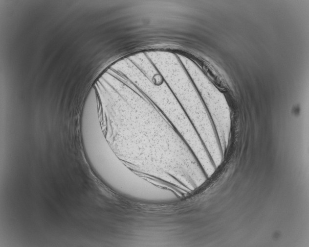 X0000116881281201001191736