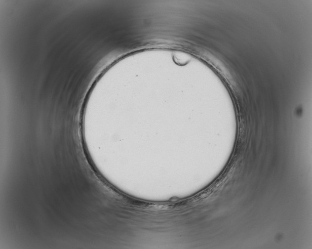 X0000116881283201001191736