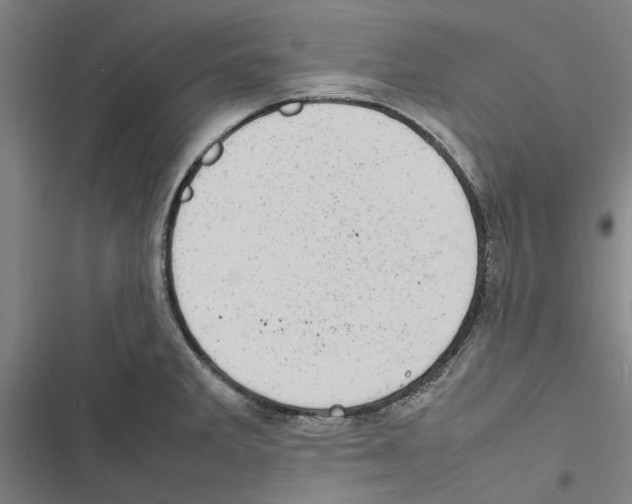 X0000116881285201001191736