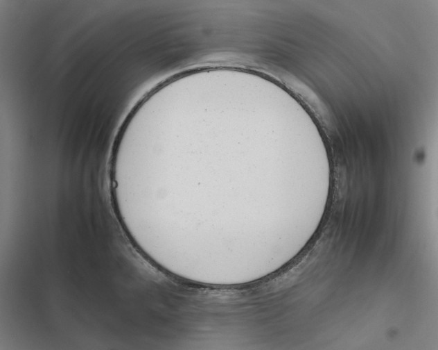 X0000116881288201001191736