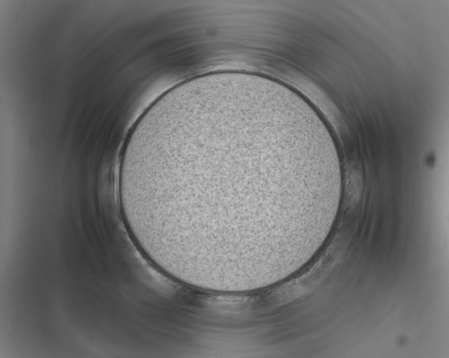 X0000116881290201001191736