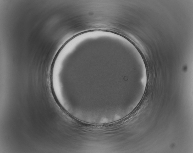 X0000116881291201001191736