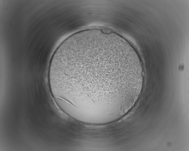 X0000116881296201001191736