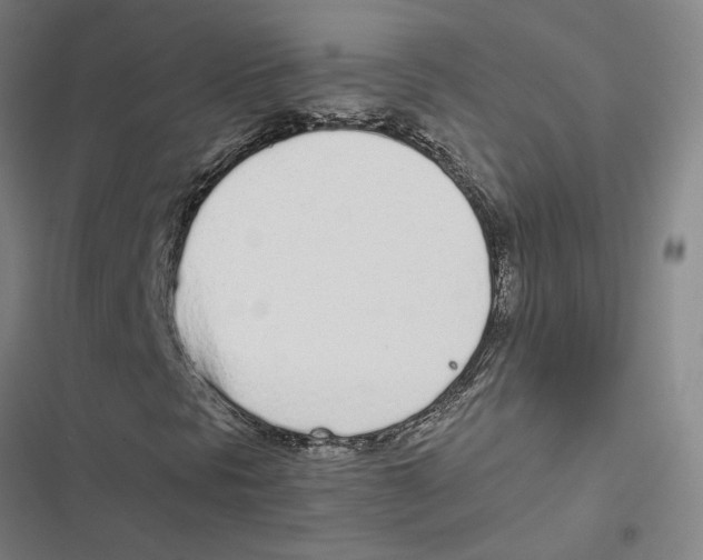 X0000116881297201001191735