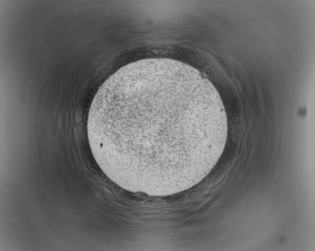 X0000116881298201001191735