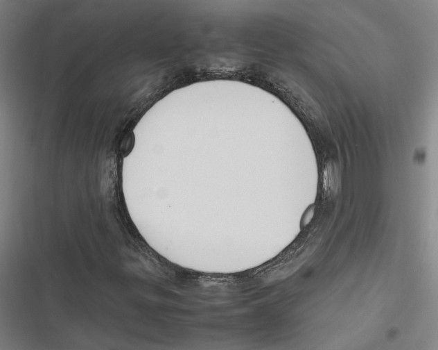 X0000116881299201001191735