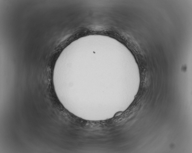 X0000116881301201001191735