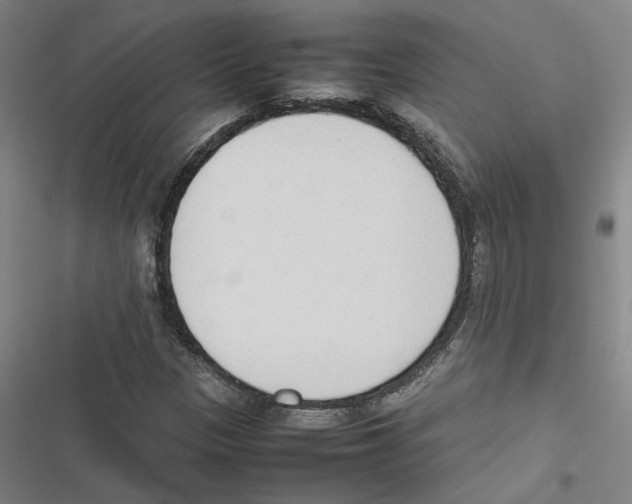 X0000116881305201001191735