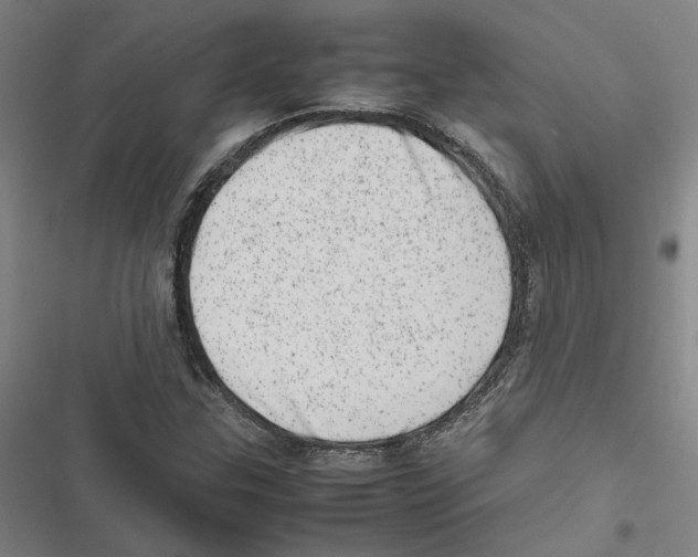 X0000116881307201001191735