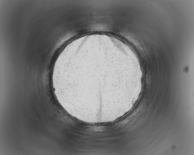 X0000116881309201001191735