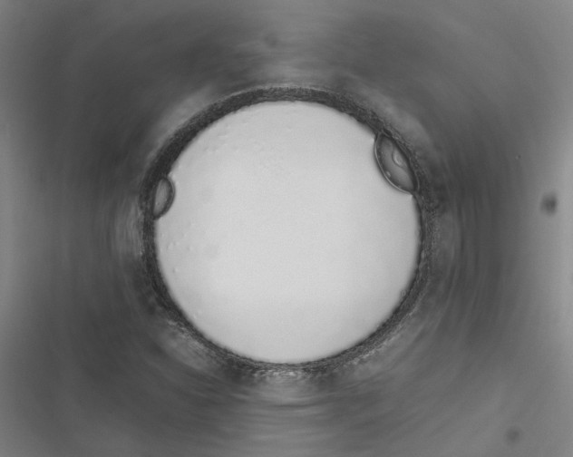 X0000116881310201001191735