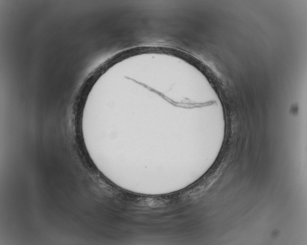 X0000116881311201001191735